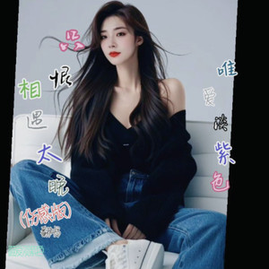 只恨相遇太晚 (伤感版)