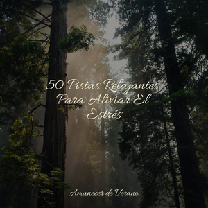 Melodías de Confección Feliz