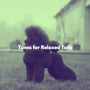 Background for Chocolate Lattes