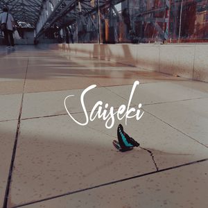 Saiseki