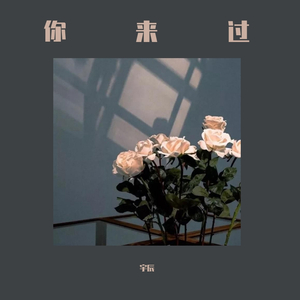你来过