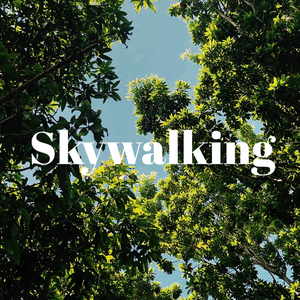 Skywalking