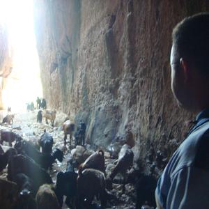 bağlama oyun havası (Special Version)