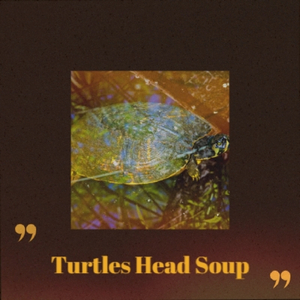 Ethereal Tin Whistle 60s