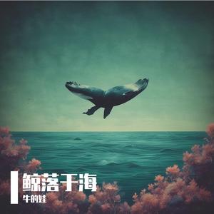 鲸落于海