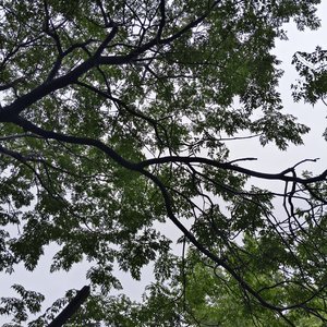 浴缸里的放松时光