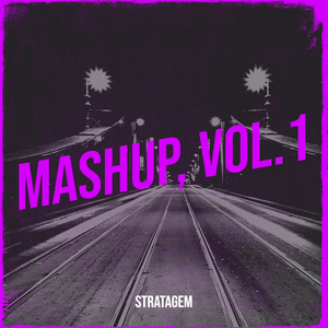 Mashup, Vol.1