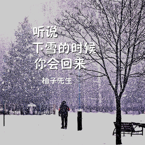 听说下雪的时候你会回来