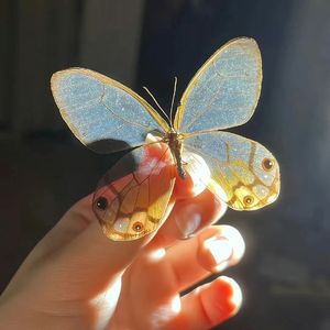 年少的回忆 伴奏