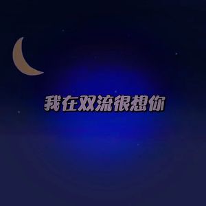 我在双流很想你