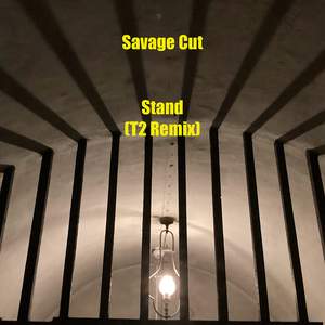 Stand (T2 Remix)
