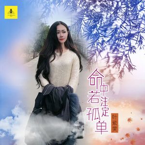 命中若注定孤单 (DJ小刚版)