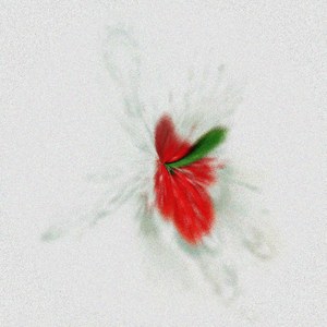 Capillitial