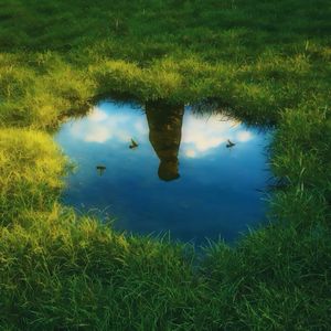 春困（Spring Fever）