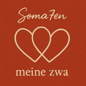 meine zwa