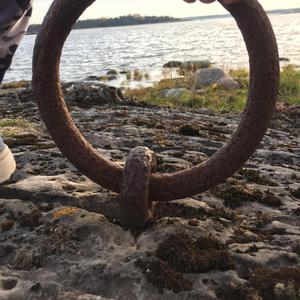 Grisslehamn till Öregrund