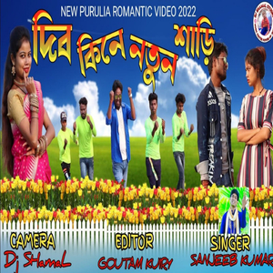 Dibo kine notun sadi