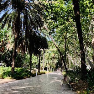 适合正在学习最好的音乐