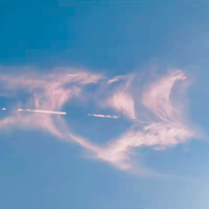 1i.(Prod by Slim Dyane.)