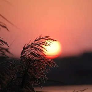 你一定能够成为你想要去成为的人