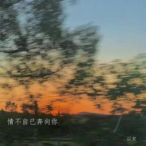 情不自己奔向你 (降调版)