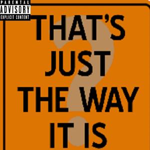 The Way It Is (feat. Puruzzam)