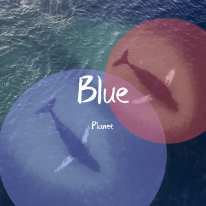 Blue Planet (Kick version)