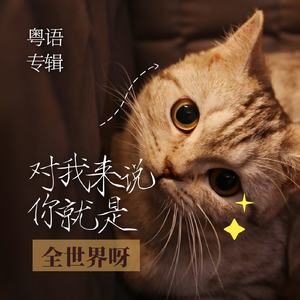 根本你不懂得爱我