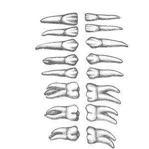 Womb (Aebeloe Remix)