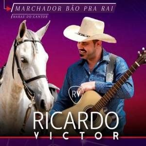 Marchador Bão Pra Rai (Haras do Cantor)