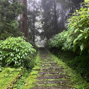 iateeggscheeseandsausageinthemorning