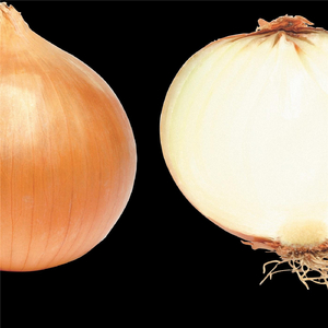 Bellshaped (feat. Skelm)