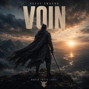 VOIN