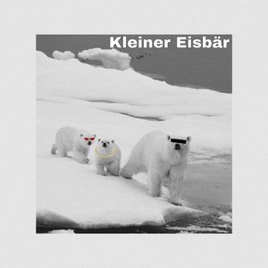 Kleiner Eisbär