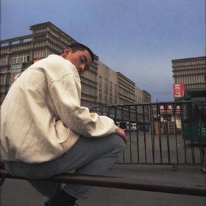 花有重开日人无再少年（罗应桥 remix）