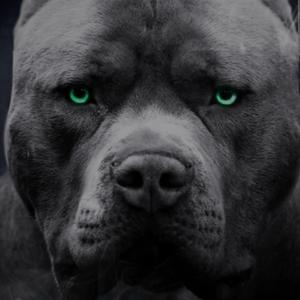 Ajj Aaari Raat Dj Te ♥