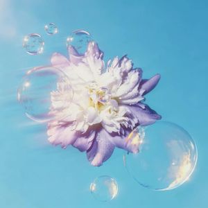 Bubbles