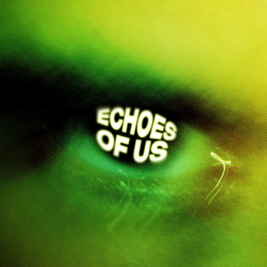 Echoes of Us