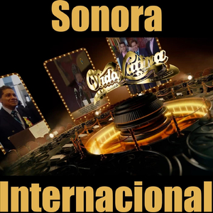 Orfita