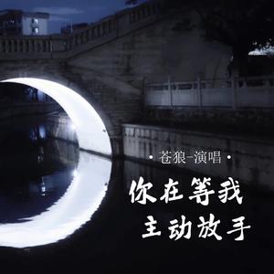 你在等我主动放手 (Live合唱版)