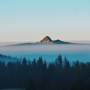 Release from silence