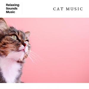 Cat Music Therapy