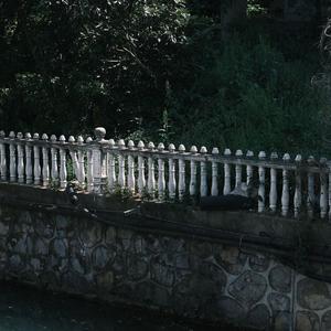 何方（Wish You Were Here）