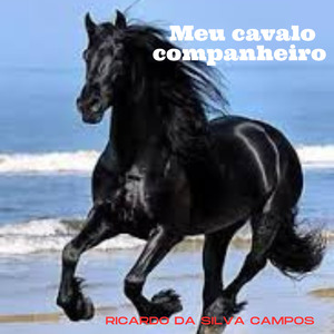 Meu cavalo companheiro