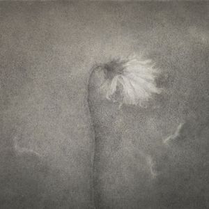 逝於深秋 / Dying Away In The Deep Fall