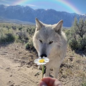 MOST HIGH (feat. Jadakiss & Xzibit)