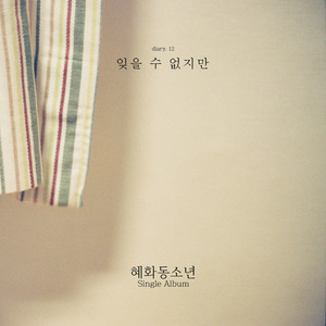 잊을 수 없지만(Inst.)