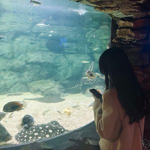 Love At first sight（prod by 维斯）