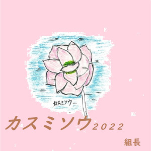 カスミソウ (2022 春)