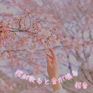 桜が散ると音が鳴る